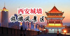 淫水骚少妇中国陕西-西安城墙旅游风景区
