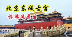 秋霞操逼剛中国北京-东城古宫旅游风景区